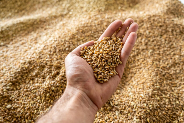 kontenery w rolnictwie